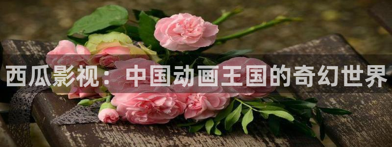 天空影院在线观看免费完整版：西瓜影视：中国动画王国的奇幻世界