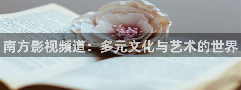 天空体育在线