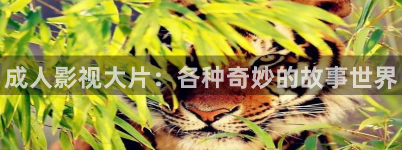 孩子们的天空舞蹈视频完整版