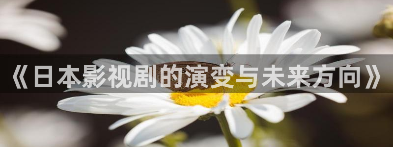 鸭子的天空在线观看免费