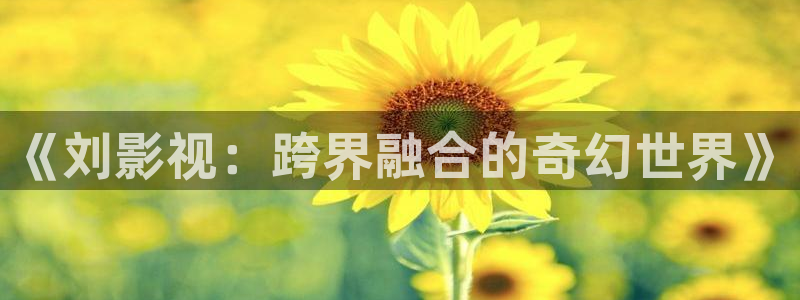 缘分的天空免费观看