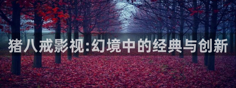 秋天的天空免费观看全集