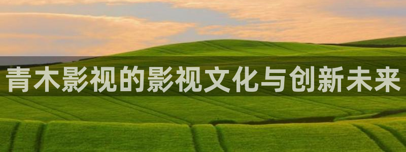烽火少年的天空免费观看
