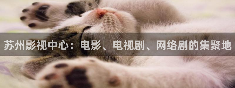 滚动的天空无限球版在哪下