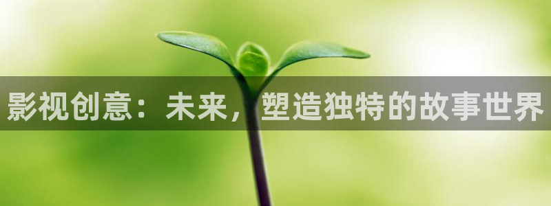 缘分天空免费高清